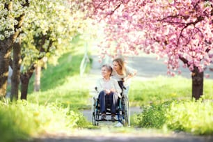 Ältere Großmutter im Rollstuhl mit einer erwachsenen Enkelin draußen in der Frühlingsnatur.
