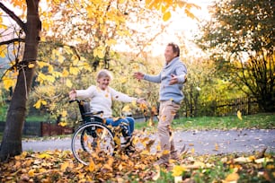 秋の自然の中で老夫婦。散歩中の車椅子の男女。