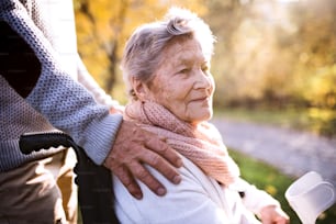 Unrecognizable senior man and elderly woman in wheelchair in autumn nature. Man with his mother on a walk.