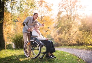 Senior man and elderly woman in wheelchair in autumn nature. Man with his mother on a walk.