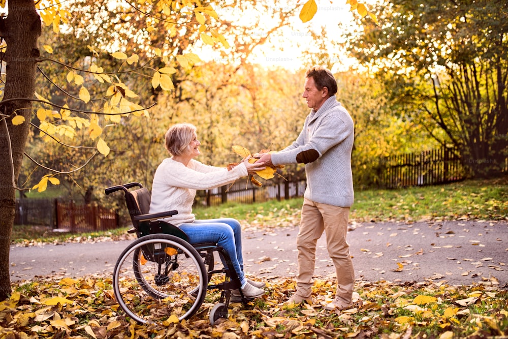 Senior couple in autumn nature. Man and woman in a wheelchair on a walk.