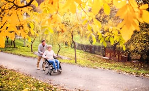 Senior couple in autumn nature. Man and woman in a wheelchair on a walk.