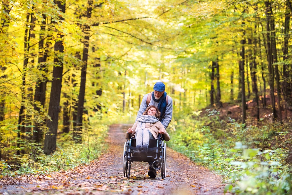 Couple de personnes âgées actif lors d’une promenade dans une belle nature automnale. Un homme et une femme en fauteuil roulant marchant dans la forêt.