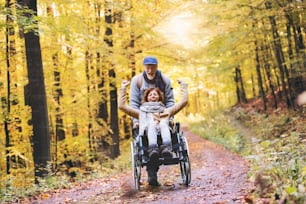 Active senior couple on a walk in a beautiful autumn nature. A man and woman in a wheelchair walking in forest.