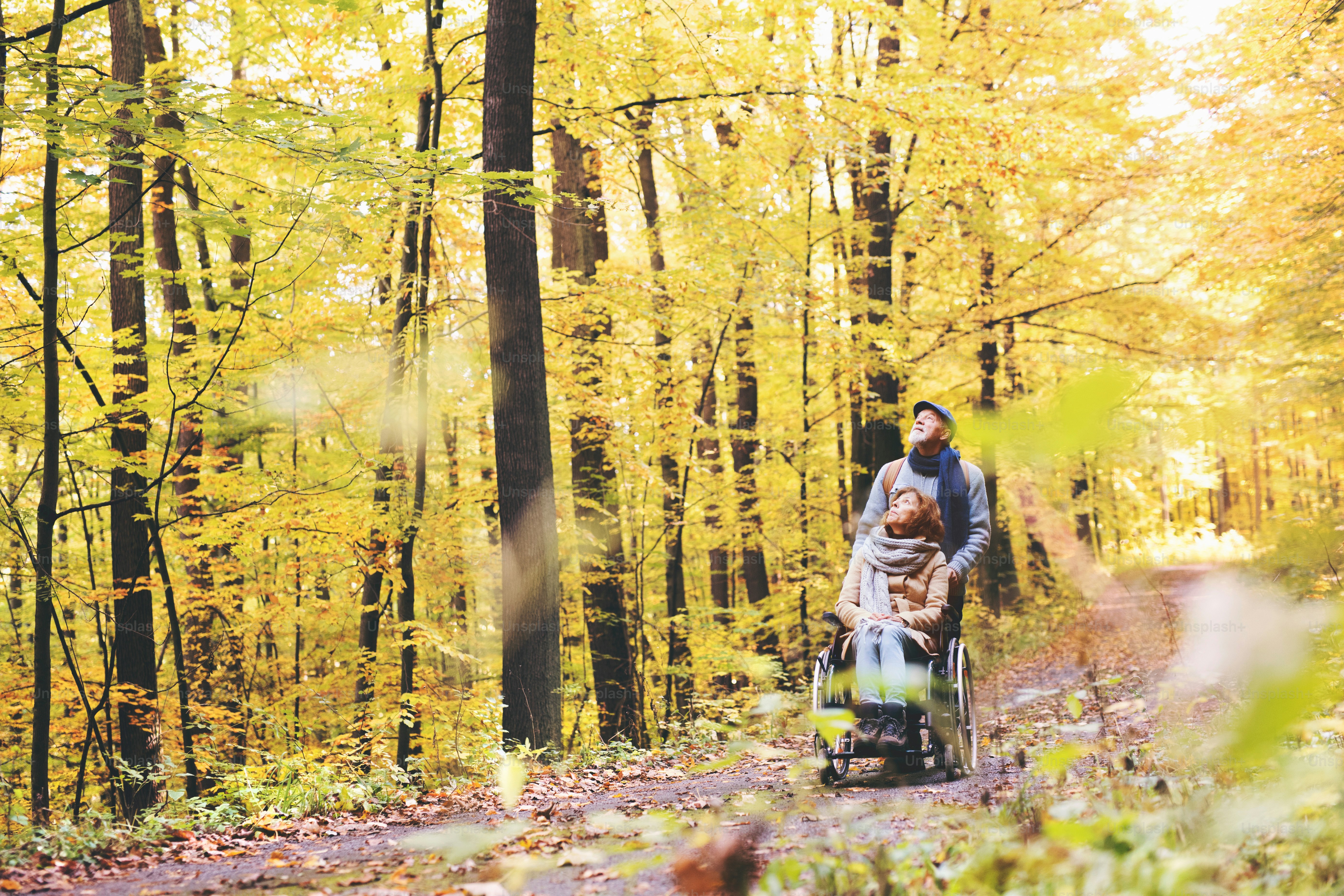 Active senior couple on a walk in a beautiful autumn nature. photo ...