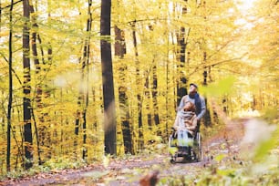 Active senior couple on a walk in a beautiful autumn nature. A man and woman in a wheelchair walking in forest.