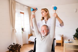 Health visitor and a senior man in a wheelchair during home visit. A nurse or a physiotherapist helping a senior man exercise with dumbbells.