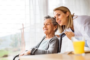 Visitatore sanitario e una donna anziana durante la visita domiciliare. Un'infermiera che parla con una donna anziana su una sedia a rotelle.