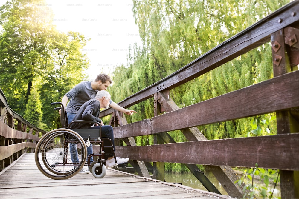 Giovane figlio hipster che cammina con il padre disabile in sedia a rotelle sul ponte di legno al parco, puntando il dito contro qualcosa. Assistente che assiste l'anziano disabile.