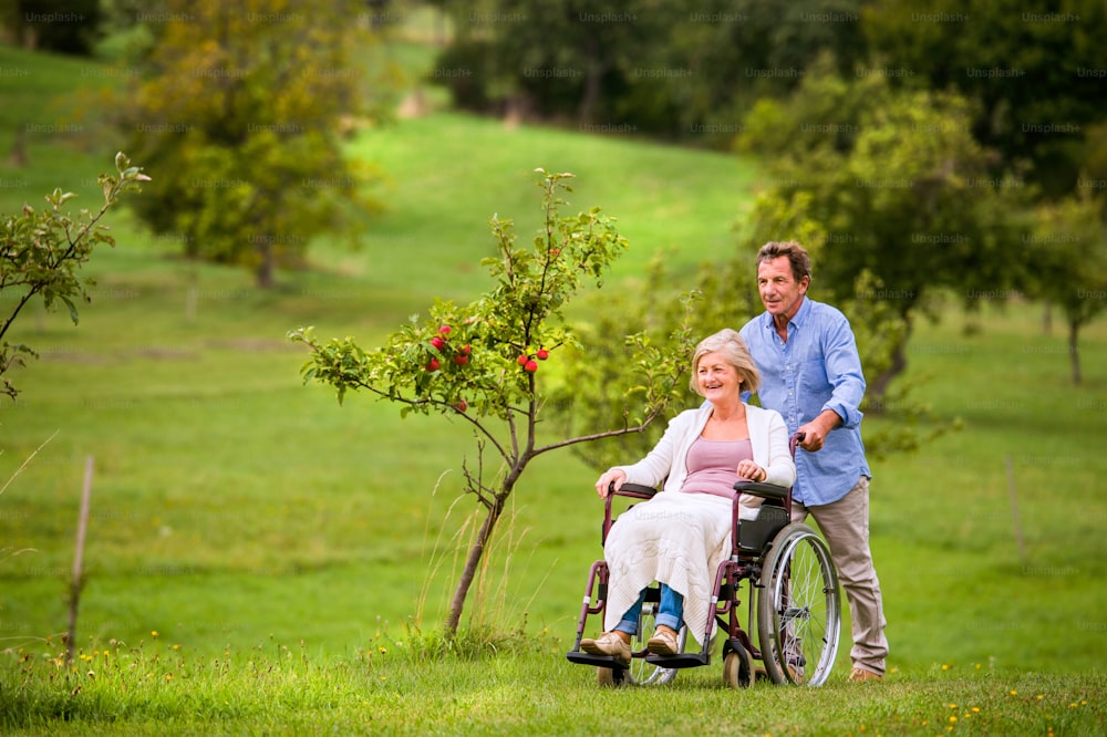 Senior man pushing woman sitting in wheelchair oustide in green autumn nature