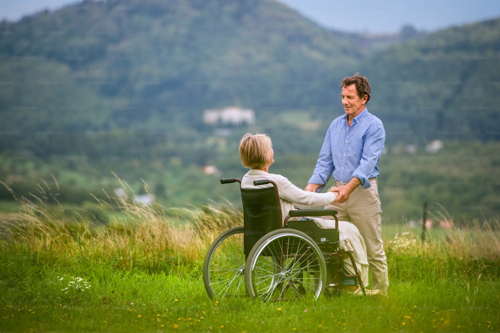 Älterer Mann mit Frau im Rollstuhl sitzend, Händchen haltend, Flucht in grüner Herbstnatur, Rückansicht