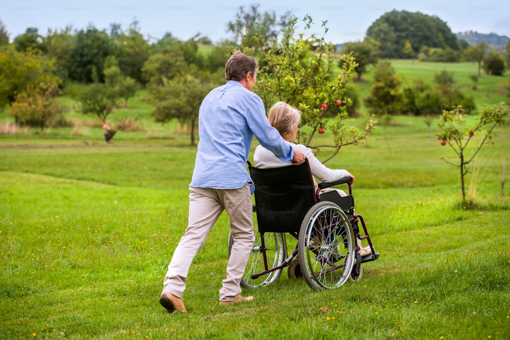 Senior man pushing woman sitting in wheelchair oustide in green autumn nature, rear view