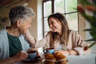 A happy senior mother having tea with adult daughter indoors at home, talking.