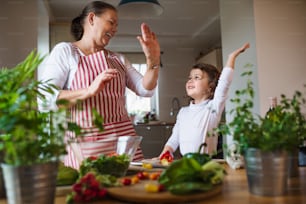 Menina pequena com avó sênior na cozinha dentro de casa, dando high five ao cozinhar.