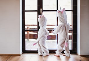 Vista trasera de dos niños pequeños con máscaras blancas de unicornio jugando en el interior de casa.