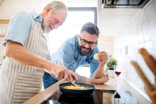 Un fils hipster adulte et un père âgé à l’intérieur dans la cuisine à la maison, en train de cuisiner.