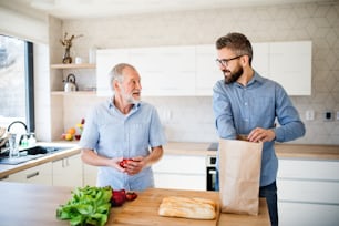 A cheerful adult hipster son and senior father indoors in kitchen at home, unpacking shopping.