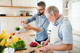 성인 힙스터 아들과 선배 아버지는 집 부엌에서 실내에서 요리를 하고 있습니다.