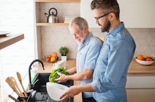 An adult hipster son and senior father indoors in kitchen at home, washing vegetables and preparing salad.