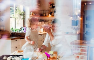 Happy senior great grandmother with small toddler boy making cakes at home. A shot through glass.