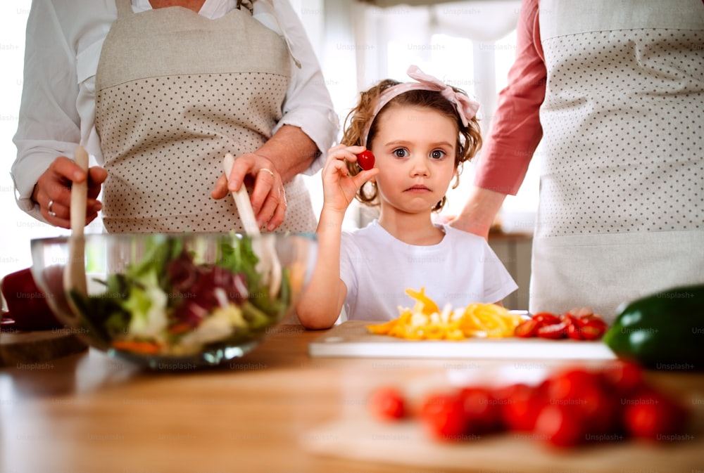A portrait of small girl with mother and grandmother at home, preparing vegetable salad. A midsection.