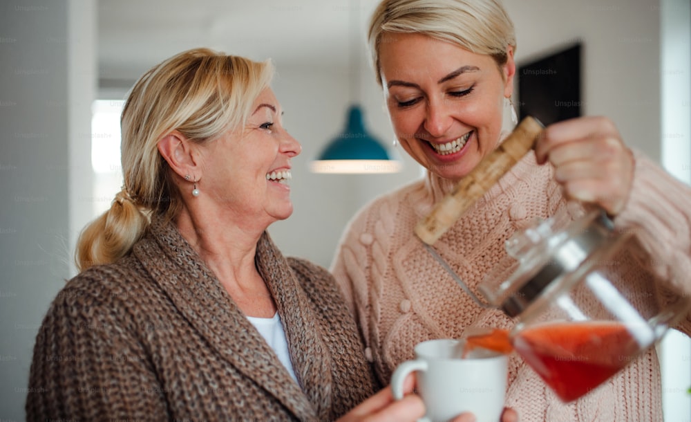 家で年配の母親と幸せな若い女性がお茶を注ぐ。