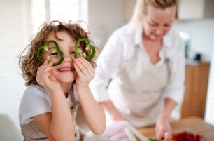 A portrait of happy small girl with grandmother preparing vegetable salad at home, having fun.