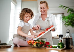 A portrait of small girl with grandmother in a kitchen at home, preparing vegetable salad.