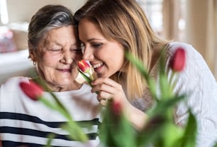 Portrait of an elderly grandmother with an adult granddaughter at home, smelling flowers.