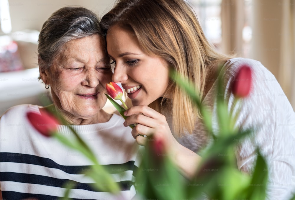 Ritratto di una nonna anziana con una nipote adulta a casa, profumando fiori.
