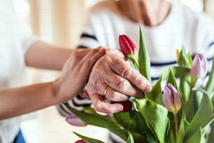 Mãos de uma velha e jovem irreconhecíveis colocando flores em um vaso.