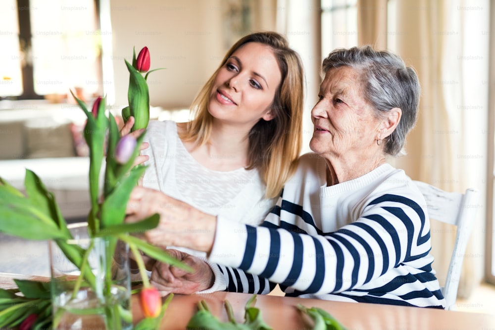 Retrato de una abuela anciana con una nieta adulta en casa. Mujeres poniendo flores en un jarrón.