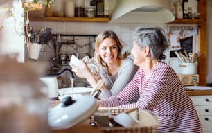 Una abuela anciana feliz con una nieta adulta en casa, lavando los platos.