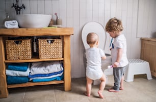 Two toddler children with toothbrush standing by the toilet in the bathroom at home. Rear view.