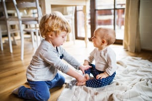 Two cute toddler children playing at home.