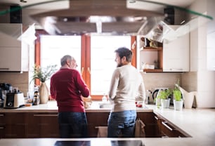 Hipster son with his senior father in the kitchen. Two generations indoors. Rear view.Hipster son with his senior father in the kitchen. Two generations indoors.