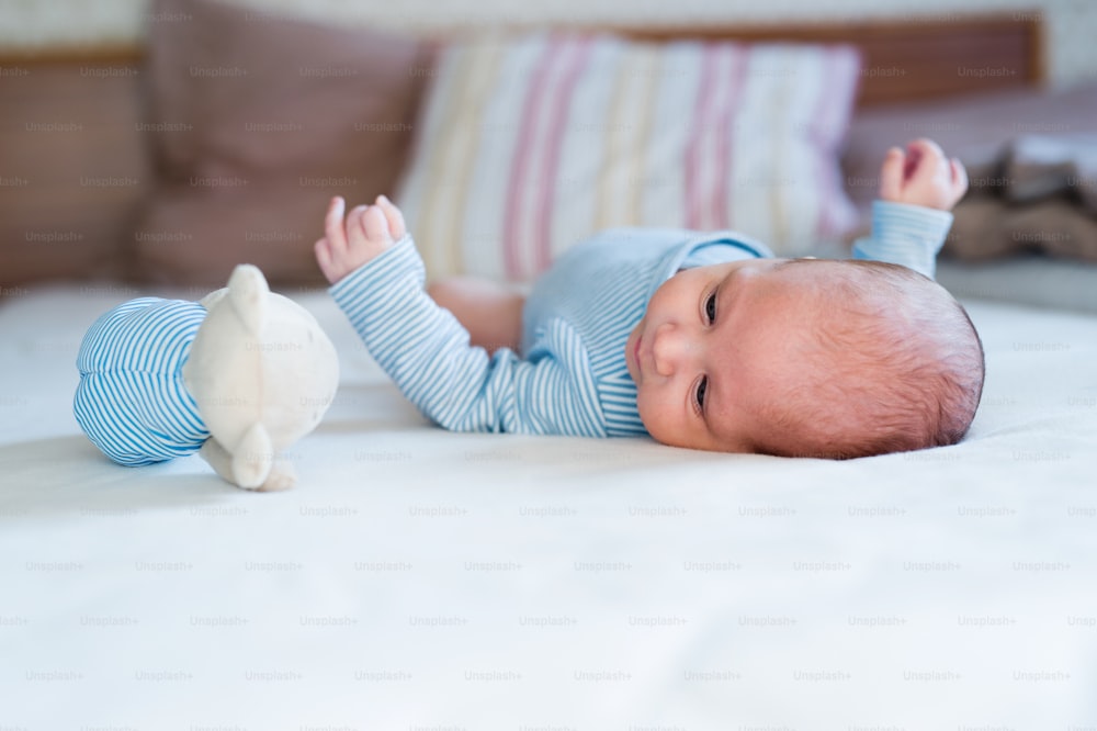 Cute newborn baby boy in blue striped onesie lying on bed, teddy bear toy next to him