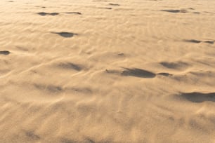 Una spiaggia sabbiosa con impronte nella sabbia
