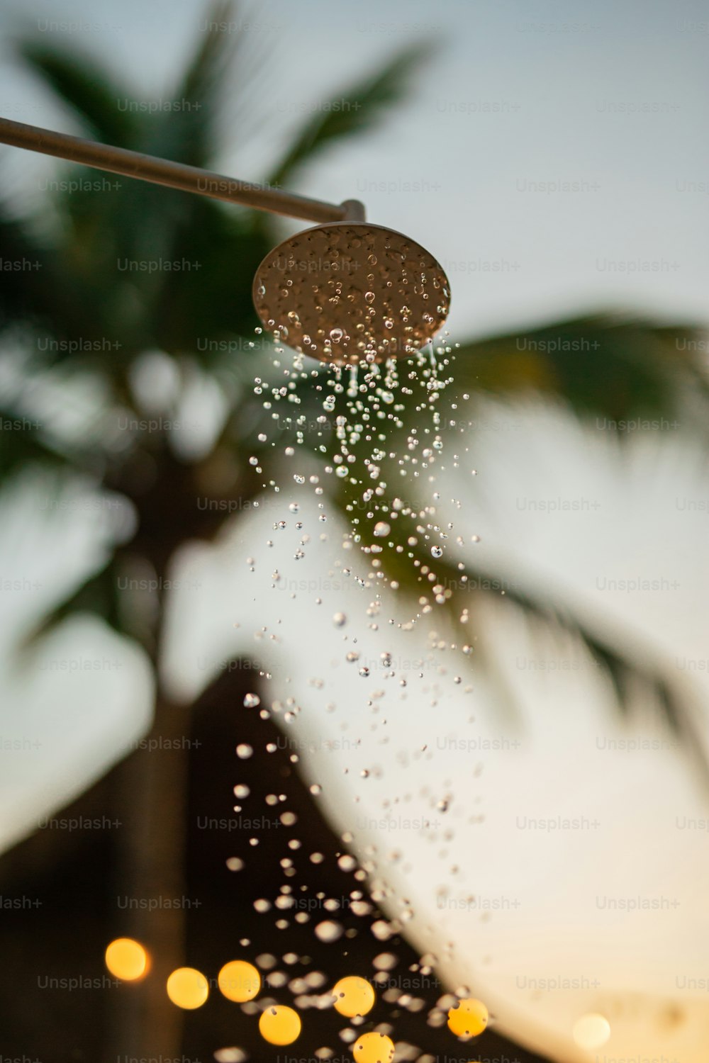 a close up of a shower head with a palm tree in the background
