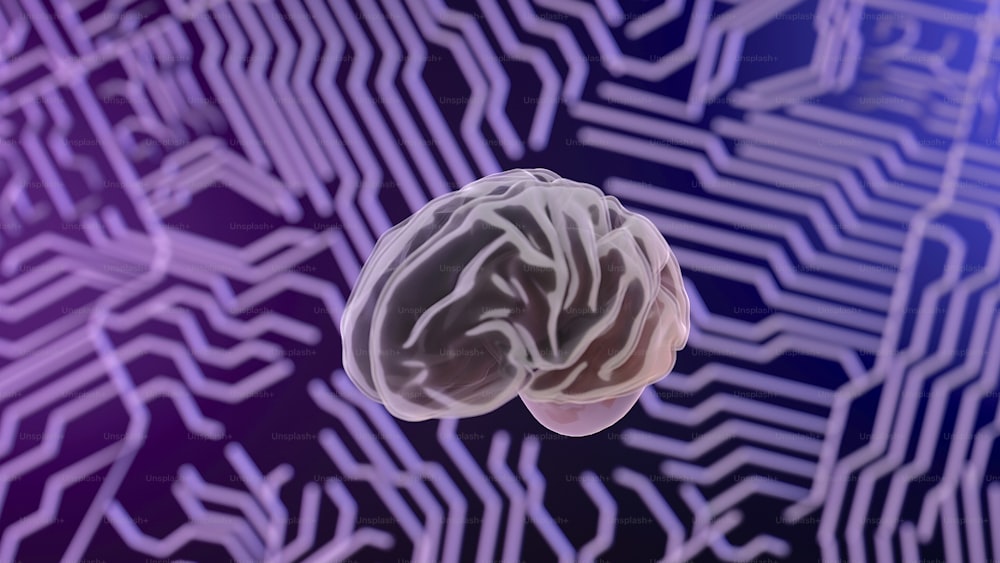 Una imagen generada por computadora de un cerebro humano