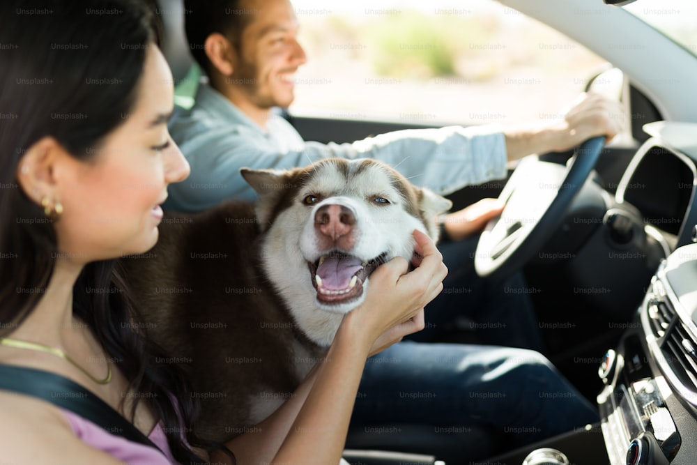 Cheerful young woman petting a smiling husky dog while traveling by car to a vacation spot