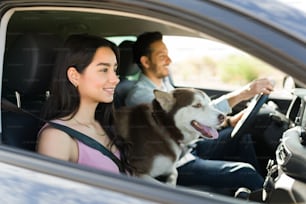 아름다운 히스패닉계 여성이 남자친구와 귀여운 허스키 강아지와 함께 여행을 즐기면서 길을 보면서 웃고 있다