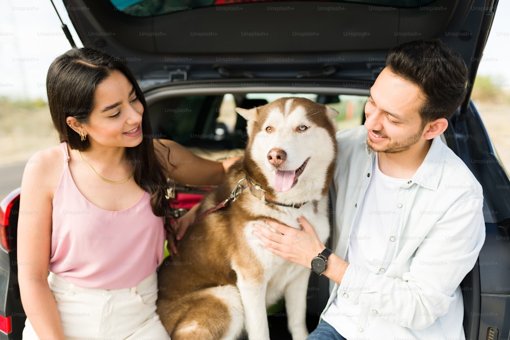 Beautiful young woman and latin man petting their husky dog while sitting on the car trunk