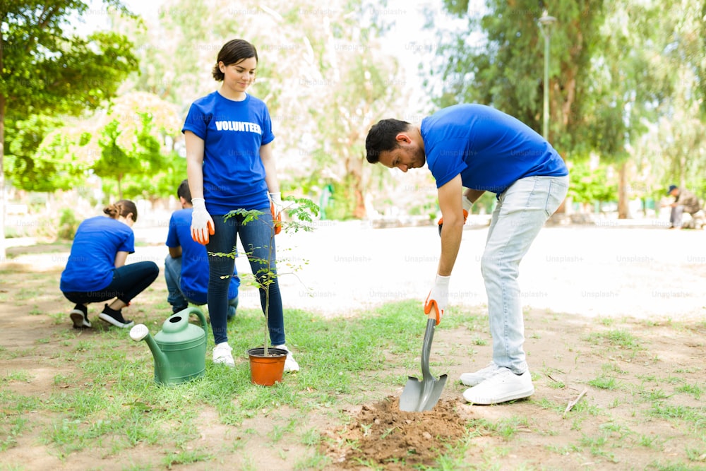 Joven responsable cavando un hoyo para plantar un árbol en el parque. Amigos felices en sus 20 años haciendo trabajo comunitario