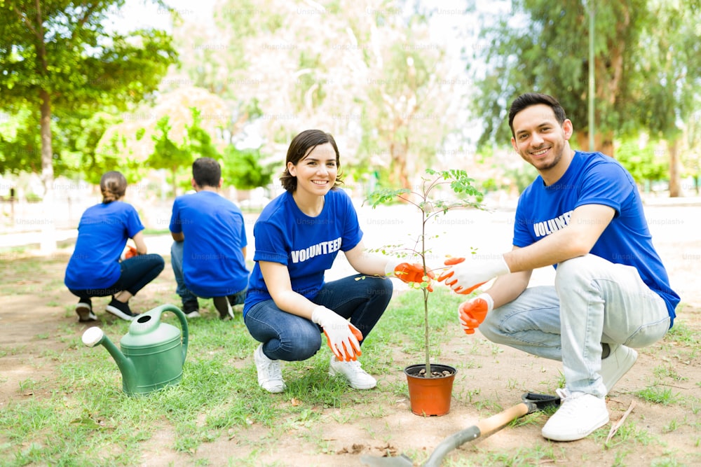 Trabajo comunitario ecológico. Felices amigos latinos plantando juntos un pequeño árbol en el parque para su trabajo voluntario