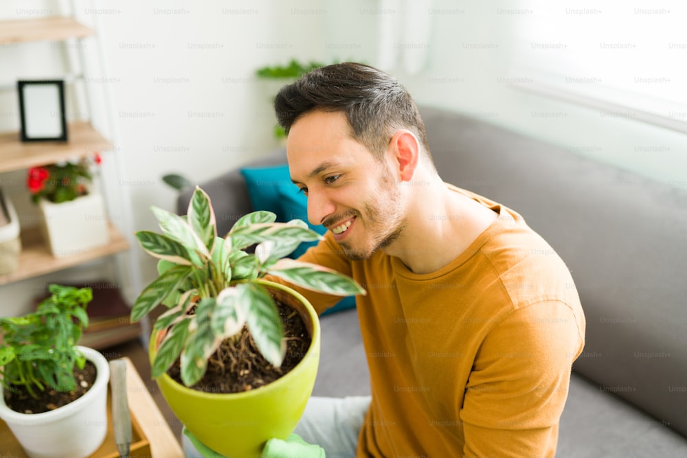 흥분한 남자는 화분에서 자라는 식물을 보면서 웃고 있다. 행복한 남자가 녹색 식물의 잎사귀를 청소하고 있다. 웰빙 및 정신 건강 개념
