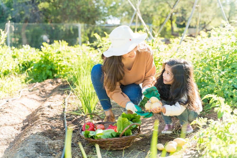 Hispanic mother and daughter harvesting vegetables together at garden