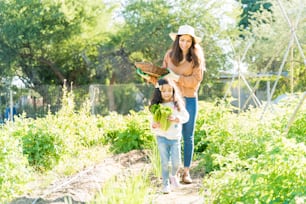 Mother and daughter walking with vegetables on pathway amidst farm