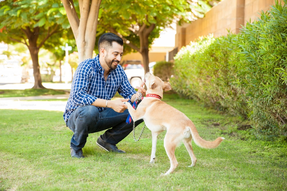 Handsome young man with a beard playing with his dog at a park and having fun