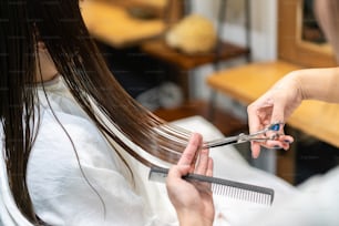 Hairdresser giving a woman a haircut